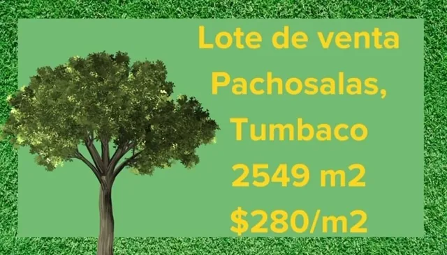 Se Vende Terreno en Tumbaco — imagen 2