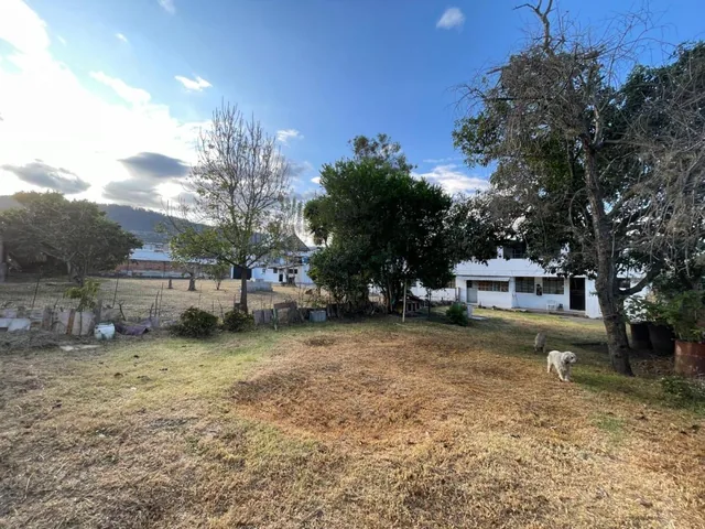 Terreno Esquinero Centro de Cumbayá 1350 m² — imagen 3