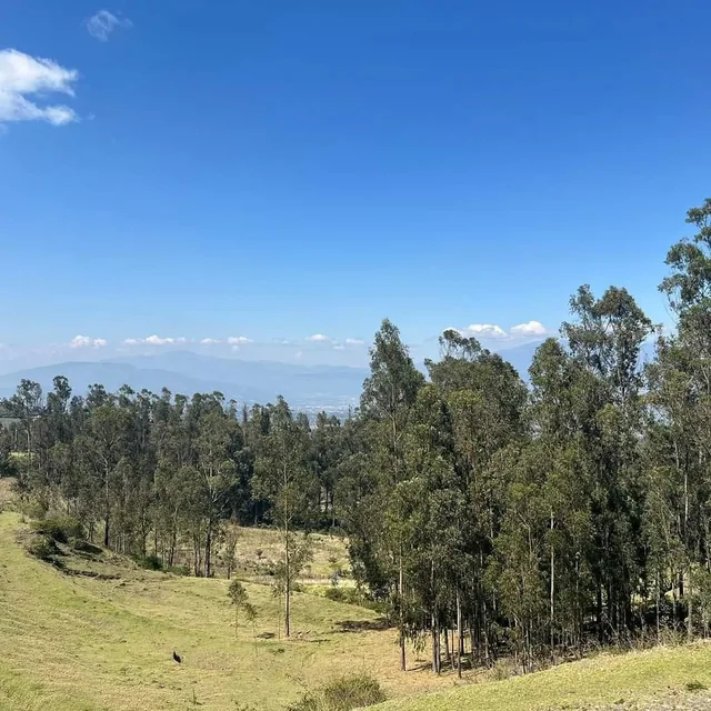 ! de oportunidad¡Terreno 2 Has Sector El Tejar - Yaruqui — imagen 2