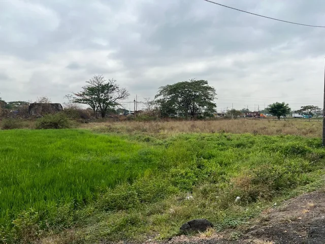 Venta Terreno 2.65ha Ingresando a Nobol, Guayas — imagen 5