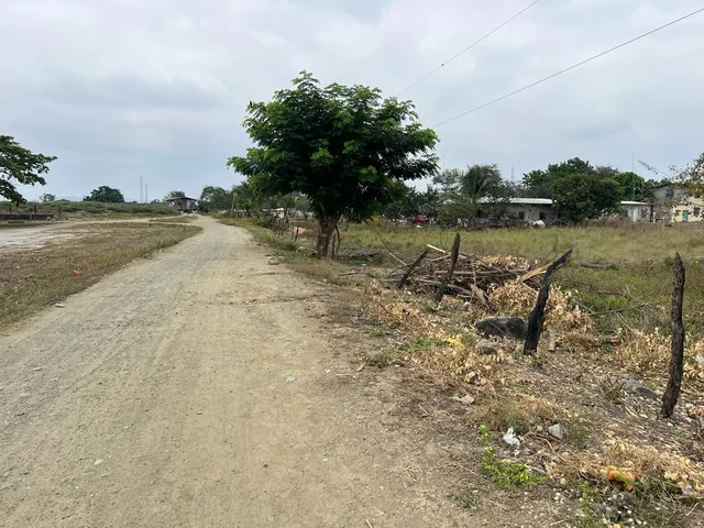 Venta Terreno 2.65ha Ingresando a Nobol, Guayas — imagen 4