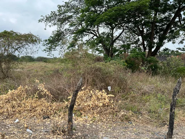 Venta Terreno 2.65ha Ingresando a Nobol, Guayas — imagen 3