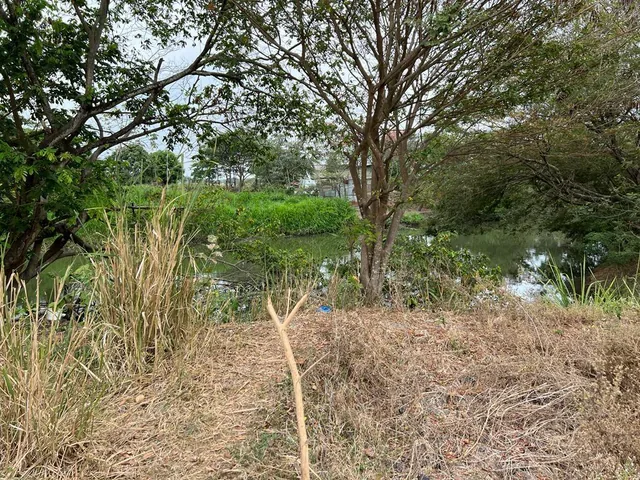 Venta Terreno 2.65ha Ingresando a Nobol, Guayas — imagen 2
