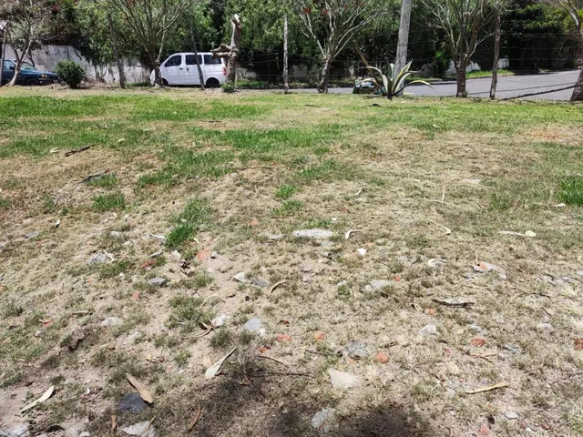 Vendo Terreno en Cumbaya Urbanización Pillagua — imagen 5