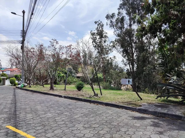 Vendo Terreno en Cumbaya Urbanización Pillagua — imagen 4