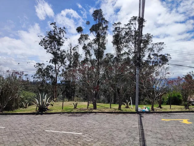 Vendo Terreno en Cumbaya Urbanización Pillagua — imagen 2