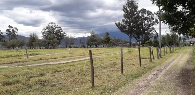 Re/max Futuro Vende Hermoso Terreno en Pifo de 15.833 m², Ideal Para Urbanizacion — imagen 4
