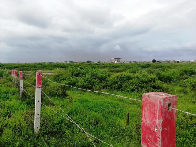Venta Terreno 9has Cerca Al Puerto de Posorja, Precio de Remate!, Guayas — imagen 5