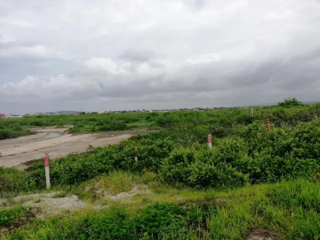 Venta Terreno 9has Cerca Al Puerto de Posorja, Precio de Remate!, Guayas — imagen 4