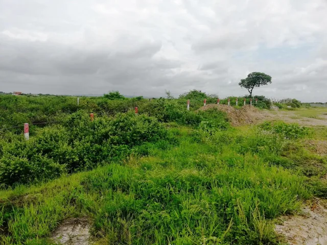 Venta Terreno 9has Cerca Al Puerto de Posorja, Precio de Remate!, Guayas — imagen 3