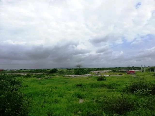 Venta Terreno 9has Cerca Al Puerto de Posorja, Precio de Remate!, Guayas — imagen 2