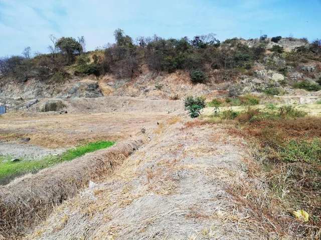 Venta Terreno 5000 m² Pie de Via a Daule Guayaquil, Guayas — imagen 4