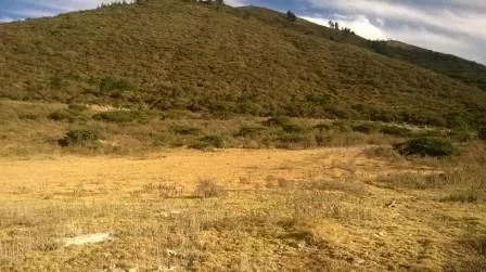 Oportunidad Venta 18563 m² Terreno Industrial Mediano Impacto, Calacali — imagen 3