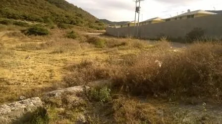 Oportunidad Venta 18563 m² Terreno Industrial Mediano Impacto, Calacali — imagen 2
