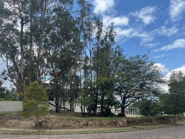 Vendo Excelente Terreno Plano - Sector Rancho San Francisco — imagen 4