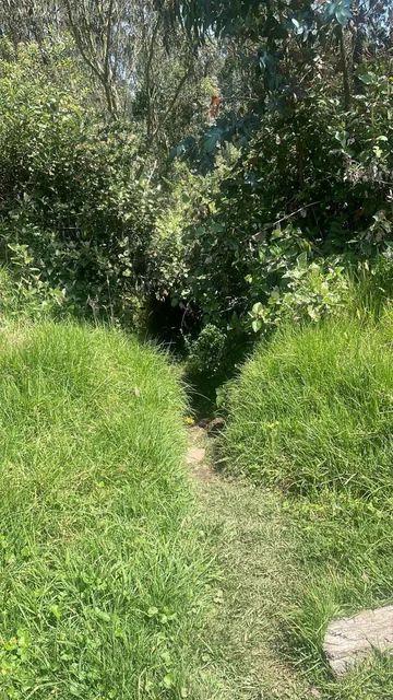 Terreno de Venta 30.000 m² Valle de Los Chillos Ontaneda — imagen 2