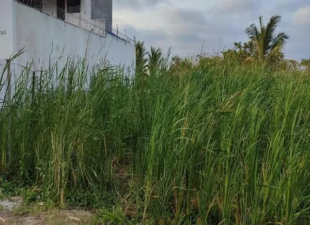 Terreno en Venta en Sector Castelnuovo, Parroquia Atacames Esmeraldas. Provincia de Esmeraldas — imagen 3