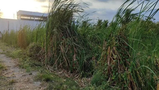 Terreno en Venta en Sector Castelnuovo, Parroquia Atacames Esmeraldas. Provincia de Esmeraldas — imagen 2