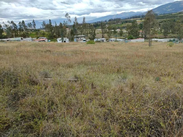 Vendo Terreno en Sector La Tolita de Tumbaco a 1 Km de La Ruta Viva — imagen 5