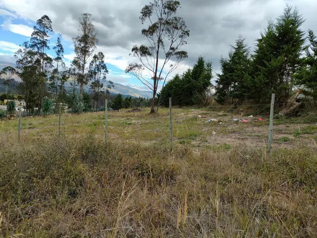 Vendo Terreno en Sector La Tolita de Tumbaco a 1 Km de La Ruta Viva — imagen 3
