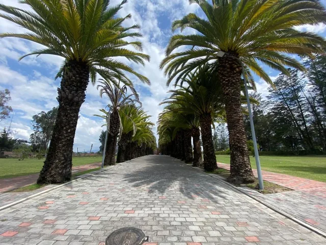 Se Vende Terreno en Urb Privada Puembo (Sector Colegio Americano, Highlands) — imagen 4