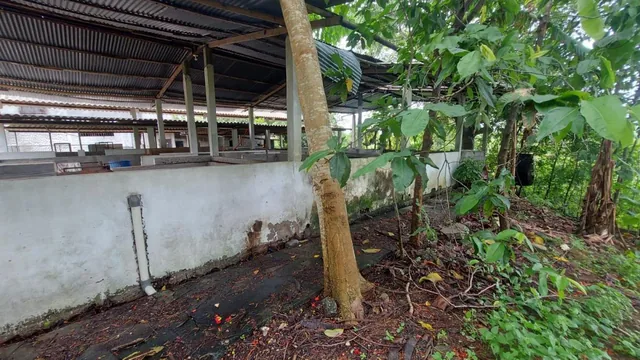 Terreno Al Pie de La Vía a La Costa Km 45, Guayas — imagen 3