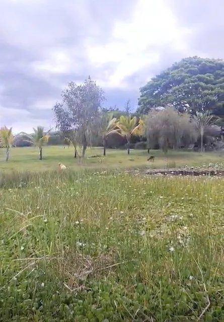 Terreno Exclusivo en Venta 5.000 m² Lotizable La Atalaya - Yunguilla, Azuay — imagen 3
