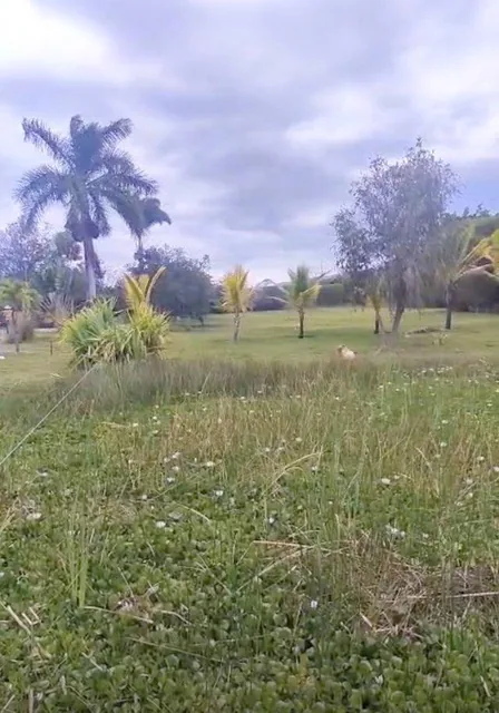 Terreno Exclusivo en Venta 5.000 m² Lotizable La Atalaya - Yunguilla, Azuay — imagen 2