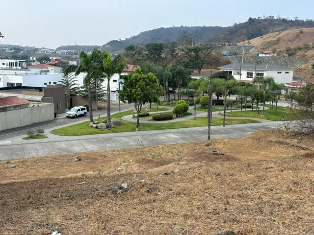 Venta Terreno Multifamiliar con Diseño Panorámico en Urbanización Vicolinci - I. Alarcón, Guayas — imagen 5