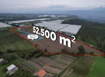 Oportunidad de Inversión - Terreno de 52534 m² en Venta en Ascázubi - Único Dueño — imagen 3