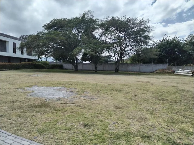 Hermoso Terreno Precio Excelente — imagen 5