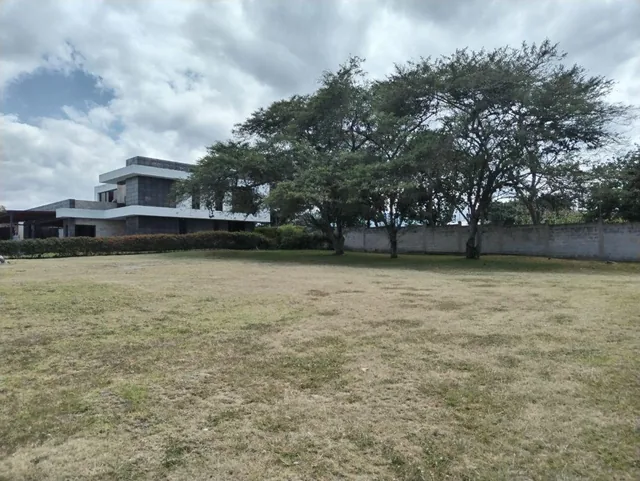 Hermoso Terreno Precio Excelente — imagen 2