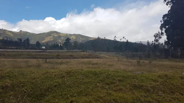 Venta de Terreno en Yaruqui de 5 Héctareas — imagen 5