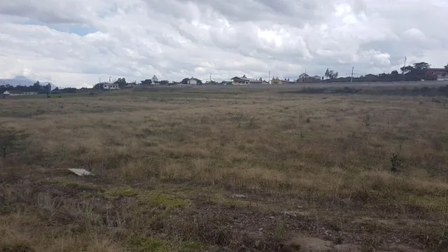 Venta de Terreno en Yaruqui de 5 Héctareas — imagen 2