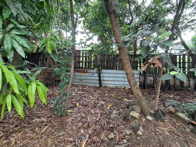 Venta de Terreno Industrial 3900 m² Via a Daule Alto Impacto, Km 15, Guayas — imagen 5