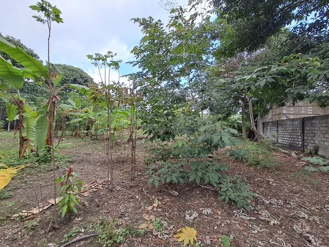 Venta de Terreno Industrial 3900 m² Via a Daule Alto Impacto, Km 15, Guayas — imagen 4