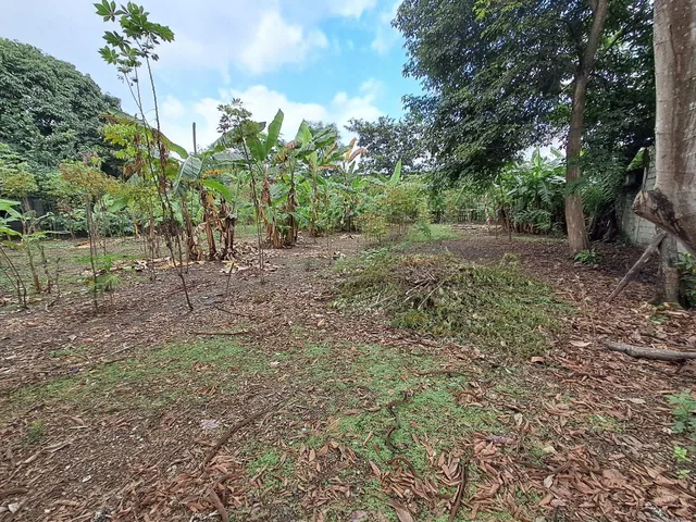 Venta de Terreno Industrial 3900 m² Via a Daule Alto Impacto, Km 15, Guayas — imagen 3