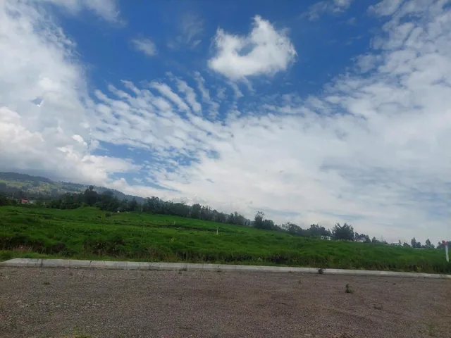 Venta Terrenos Lotización El Rosario — imagen 5