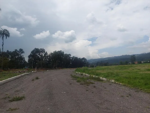 Venta Terrenos Lotización El Rosario — imagen 2