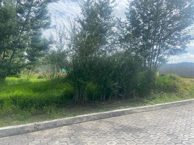 Terreno en Sangolqui Cerca Al Colibri — imagen 4