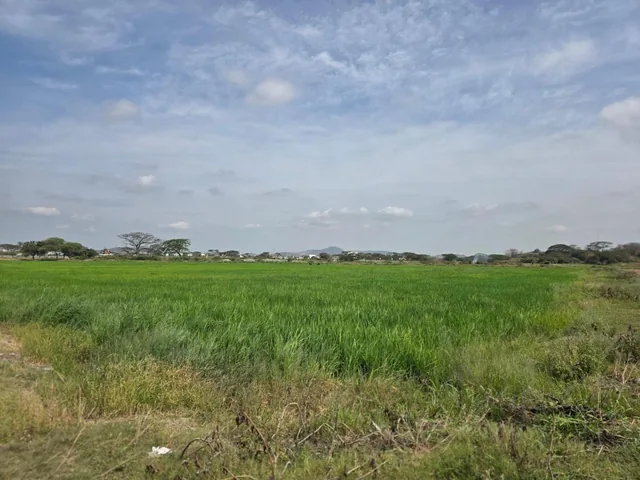 Vendo Terreno en El Buijo, Nuevo Samborondon, Esquinero, Guayas — imagen 5