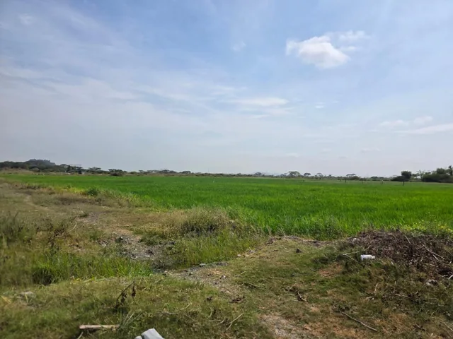 Vendo Terreno en El Buijo, Nuevo Samborondon, Esquinero, Guayas — imagen 4