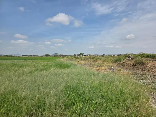 Vendo Terreno en El Buijo, Nuevo Samborondon, Esquinero, Guayas — imagen 3