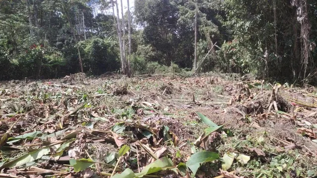 Venta de Terreno Mindo 2622 m² — imagen 5