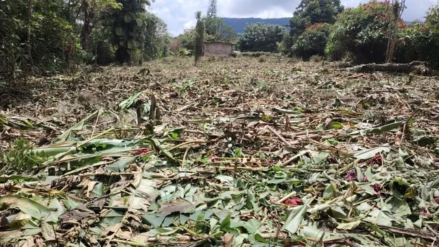 Venta de Terreno Mindo 2622 m² — imagen 3