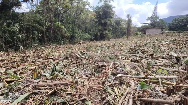 Venta de Terreno Mindo 2622 m² — imagen 2