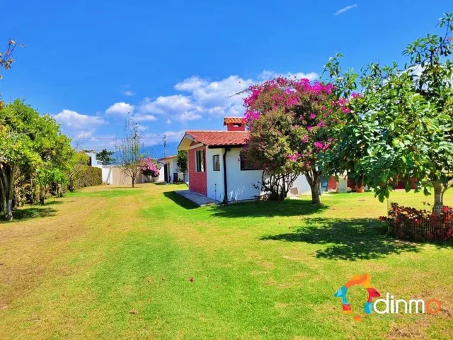 Terreno Venta en Puembo 4255 m², Zona de Desarrollo y Plusvalia — imagen 5