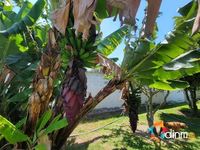 Terreno Venta en Puembo 4255 m², Zona de Desarrollo y Plusvalia — imagen 2