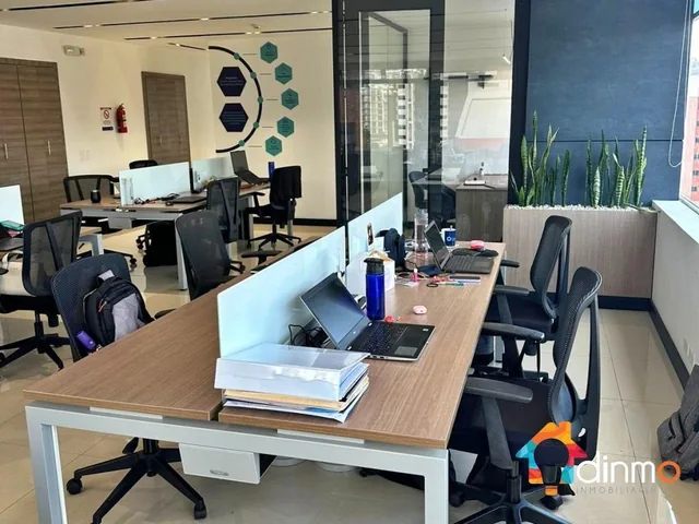 Vendo Oficina Esquinera Quito La Carolina / Vista de Lujo — imagen 4