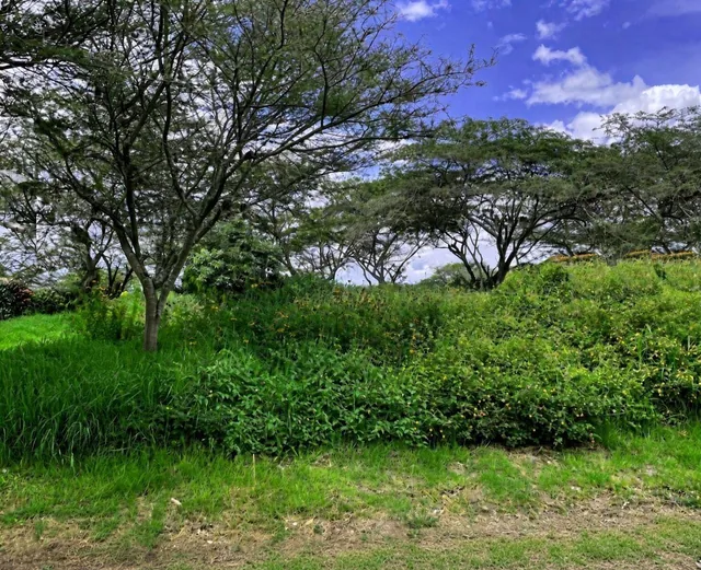 Hermoso Terreno de Venta en El Ingenio Puembo! Vista! — imagen 5